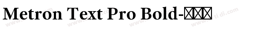 Metron Text Pro Bold字体转换